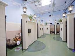 Home dog boarding is suitable for dogs of all ages, including puppies. Most Luxurious Pet Hotels In Los Angeles Cbs Los Angeles Dog Boarding Kennels Pet Hotel Luxury Dog Kennels