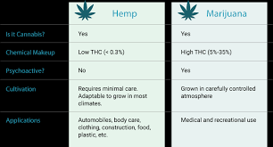 Does Cbd Show Up On A Drug Test How Much Thc For A Positive
