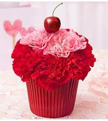 Hours may change under current circumstances Cupcake For Your Cupcake Boynton Beach Fl Florist