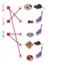 Tulislah kalimat yang diucapkan tikus kepada kucing. Kunci Jawaban Tema 7 Kelas 2 Sd Halaman 118 119 Apa Yang Dicari Kucing Dan Tikus Untuk Dimakan Halaman All Tribun Banten