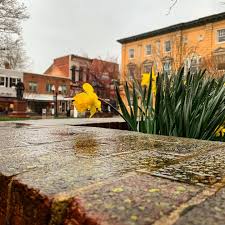 Maybe you would like to learn more about one of these? Old Town Winchester Va Raindrops Keep Falling But That S Okay Because It S Just Another Sign That Spring Is Here If You Love Stomping In Puddles And Spotting Bright Flowers We Have Firsthand