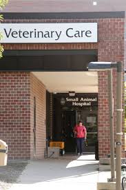 Our store also offers grooming, training, adoptions, veterinary and curbside pickup. We Just Barely Squeeze Into This Space Uw Veterinary School Seeks Addition Higher Education Madison Com