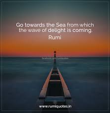  Pin On Top Rumi Quotes