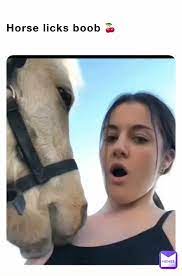 Horse lick boobs