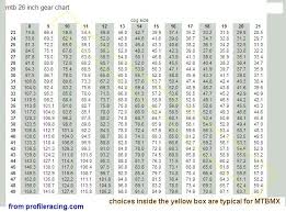 What Gearing Are You Single Speeders Using Pinkbike Forum