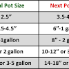 Many of the larger sizes plant pots such as pint, quart, and #1 pots are necessary for slower developing plants, many times woodland plants or so that customers have immediate gratification from their plantings. 1