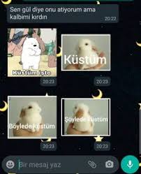 kustu djdkkajjs komik goruntuler ilham veren alintilar mesajlasmalar