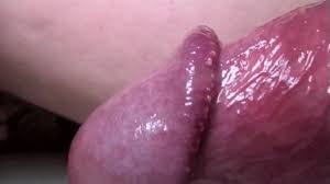 Amazon | 電動オナホール 18 USB充電 １０種振動モード 前立腺マッサージ 亀頭直め 頭バイブ ペニス刺激 つやつや やわらかい柔軟性よ  生活防水 繰り返し使用 シリコン製 会陰刺激 前立腺マッサージ器強力な吸引力 安全な材質 アダルトグッズ 男性用 | Sexymate ...