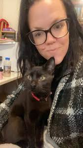 Lost Female Black Cat in Ellenbrook Annie's Landing Area