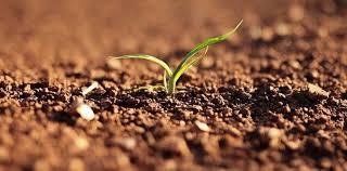 Inception of the new project: 'Sustainable soil management for  nutrition-sensitive agriculture in Sub-Saharan Africa and South East Asia'  | Partenariat mondial sur les sols | Organisation des Nations Unies pour  l'alimentation et