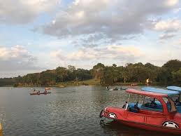 The number of things to do include sailing, canoeing, boating, swimming, to name a few. Jam Packed Spot Tasik Ayer Keroh For That Leisure Activities Electric Boating Kayaking Paddleboats They Even Have Wall Climbing Flying Fox Archery All At Very Affordable Pricing