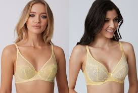 https encrypted tbn0 gstatic com images q tbn and9gcsyl8lole5u65zlnnznbpz3vgxxgu40jdaakuex9d8mmgrqdrsn usqp cau