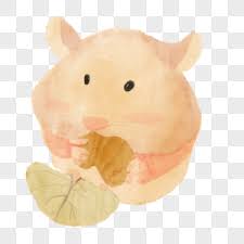 Djungarian hamster european hamster roborovski hamster pet, hamster transparent background png clipart. Hamster Png Images With Transparent Background Free Download On Lovepik Com