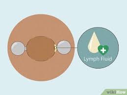 Nipple Piercing Faqs & Guide! - Essential Beauty & Piercing