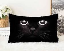 Microfiber cat cushions in different sizesの画像