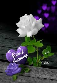 Download Good Morning Images Flowers Gif 2020 Free For Android Good Morning Images Flowers Gif 2020 Apk Download Steprimo Com 10 good morning quotes, sayings and images to get ready for a beautiful day. good morning images flowers gif 2020