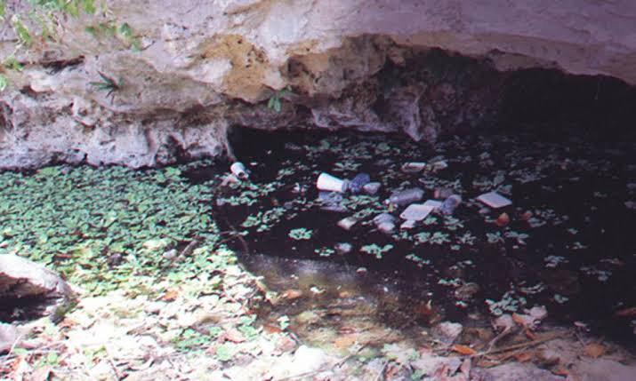Contaminación generalizada de los cenotes en Yucatán | Informe Fracto