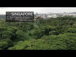 The 10 best singapore hotels. Drone Singapore Clementi Forest Youtube