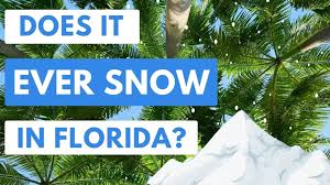 Amazing, But It Snows In Naples Florida Every Christmas Season! | Travels  With Tam