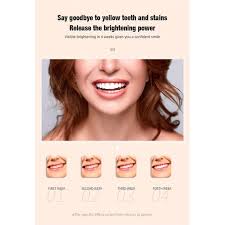 Stanley Smart Electric Toothbrush for Teeth Whitening, Rechargeable  Vibration Dental Cleaner, Effective Plaque Removal, Oral Care for Healthy  Gums and Brighter Smile @ Best Price Online