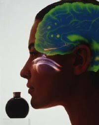 Lymphatic Therapy Services, Massage Therapist, San Diego, CA, 92122