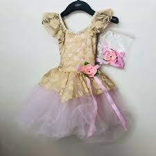 Details About Revolution Dancewear Size S New Childs Dance Dress Costume Pageant Pink Tutu