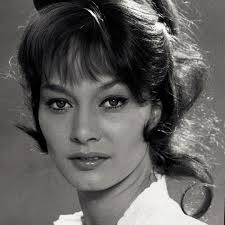 Watch 24 Hours to Kill (1965) Full Movie Free Online