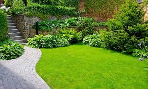 Chlorine, hydrochloric acid or algaecide will do the trick. 15 Tips On How To Get Rid Of Grackles Fast Humanely World Birds