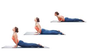 Check spelling or type a new query. Cobra Pose Bhujangasana Yoga Body And Balance