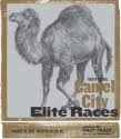 Watch camel city invitational 2020 in winston salem, nc online. Camel City Elite Mile Calendar Bring Back The Mile