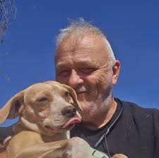 Who posted the original videos of dogs being dumped