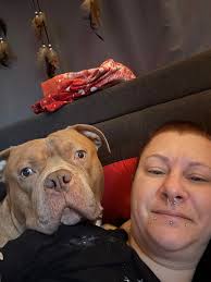 My boy Thunder 💙 . Those ears though....🤣💙💙💙