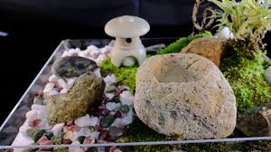 A mini forest in the largest japanese garden in europe (lithuania). Mini Japanese Garden 1 ãƒŸãƒ‹ã‚¬ãƒ¼ãƒ‡ãƒ³ï¼' Youtube