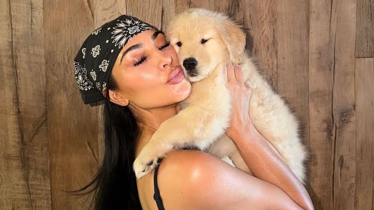 Lewis Hamilton adotta un nuovo cucciolo: ecco Halo. La foto con Kim  Kardashian