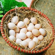 Trứng Gà Ta (10 Quả/ Khay) - FoodHub - Thực phẩm sơ chế theo yêu cầu