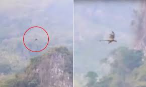 They were just a plot device to keep the wheels of the much bigger ideas greased, and to that end, they sometimes worked. Footage Appears To Show Dragon Flying Over Chinese Mountain Range Daily Mail Online