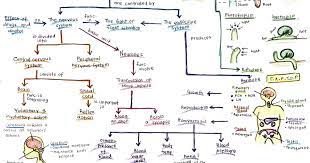 Latihan topikal biologi tingkatan 4 bab 5. Modul Soalan Biologi Tingkatan 4 Selangor P