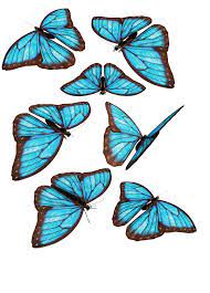 Blue Butterflies By Darkadathea On Deviantart Blue Butterfly Butterfly Drawing Monster Truck Coloring Pages