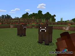The description of animals mod for mcpe app. Domestic Animals Addon For Mcpe 1 11 0 10
