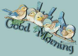 We did not find results for: Good Morning Wishes With Birds Pictures Images Page 17