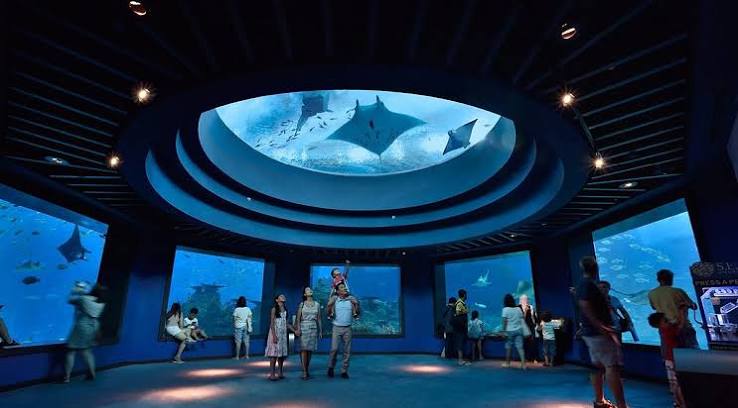 SINGAPORE OCEANARIUM - All You SHOULD Know Before Going 2026 (with Photos) - Tripadvisor