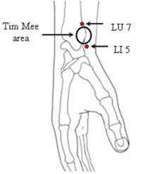 En guise de traitement complet pour un individu, l'acupuncture a pour principal but de restaurer l'équilibre à divers points de vue,notamment. L Acupuncture Pour Enfin Arreter De Fumer