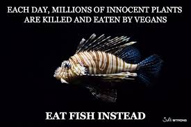 Funny Fishing Meme Fish Fishing Vegan Lion Fish Aquarium Fish Fish