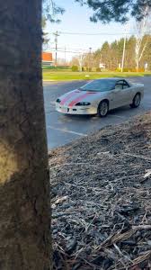 Image result for Arctic White 1994 Camaro