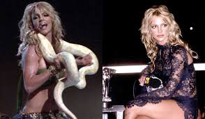 Image result for britney spears python