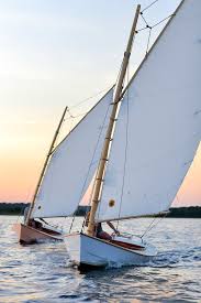 Résultat de recherche d'images pour "cat boat"