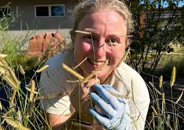 Staff, Interns & Board
