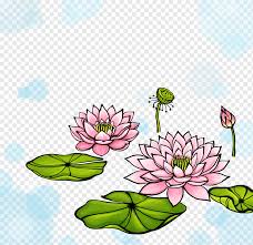 Maybe you would like to learn more about one of these? Nelumbo Nucifera Watercolor Painting Illustration Hand Painted Lotus Lotus Watercolor Painting Cdr Flower Arranging Png Pngwing
