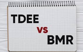 Mau Diet Ketahui Dulu Beda Tdee Dan Bmr Seni Sehat