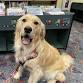 Imaginary Tails with Izzy event in Old Saybrook, CT